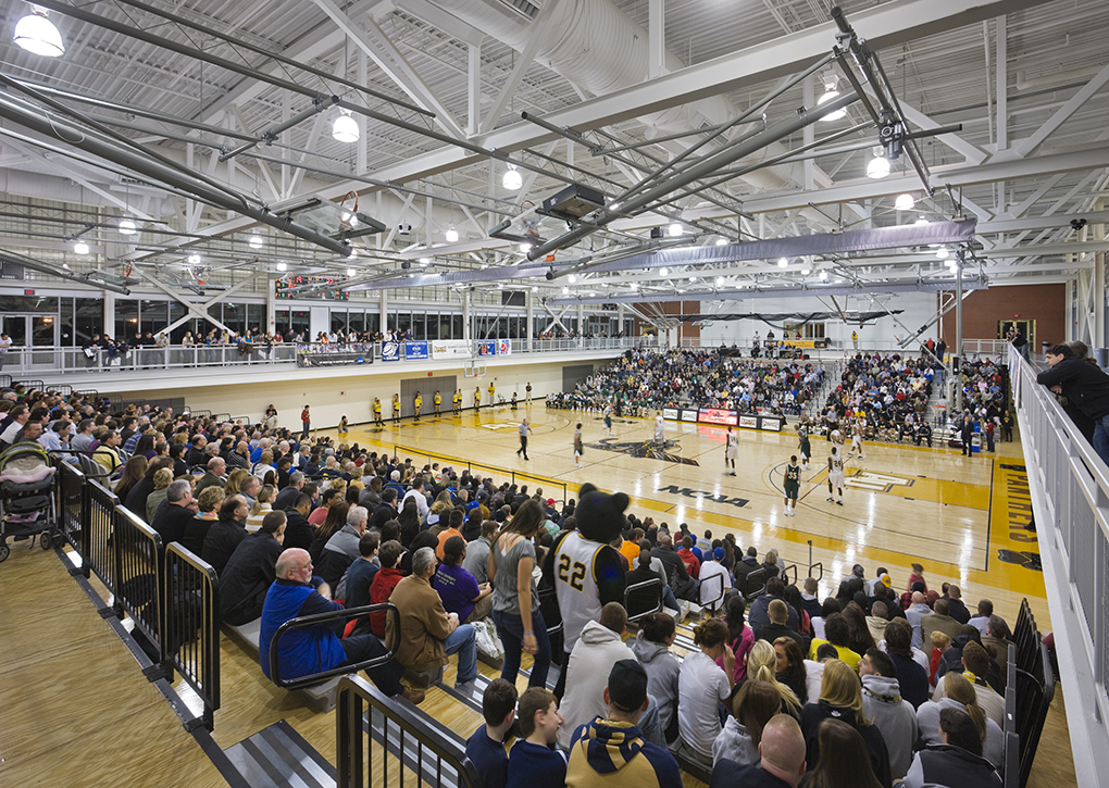 Adelphi University*