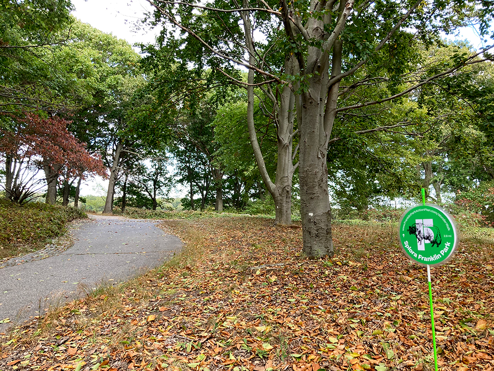 Franklin Park Action Plan