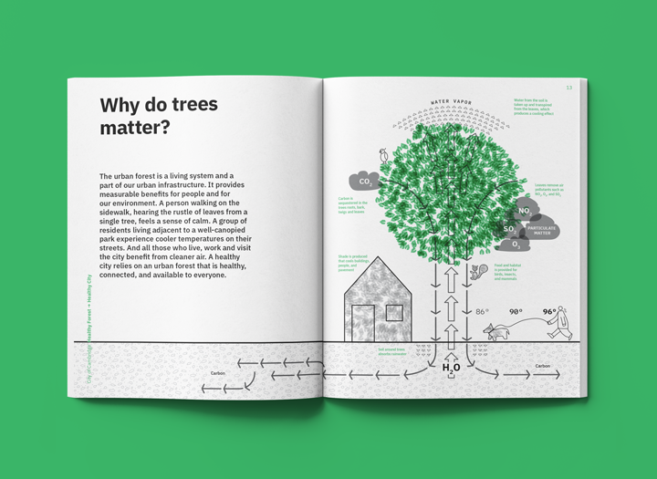 Cambridge Urban Forest