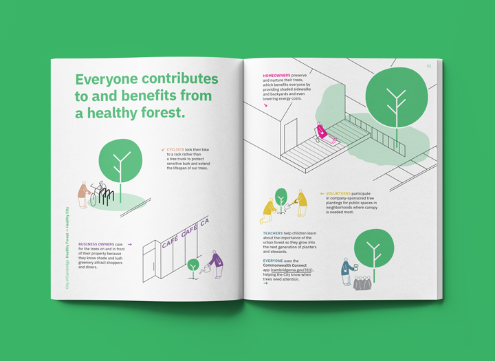 Cambridge Urban Forest