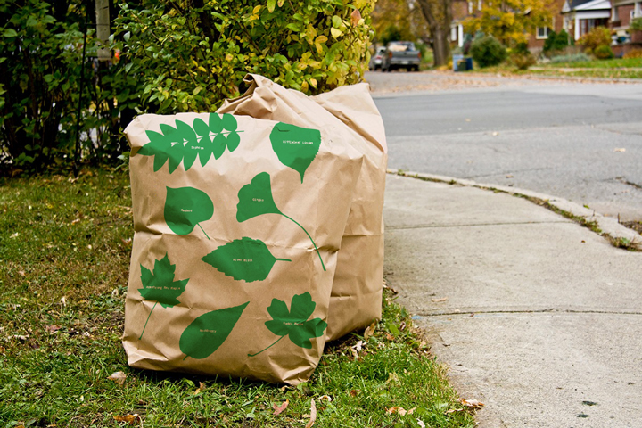 Cambridge Urban Forest