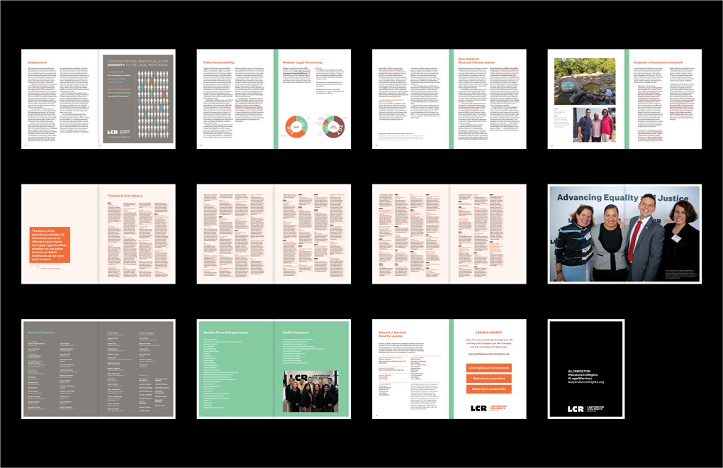 Lawyers for Civil Rights