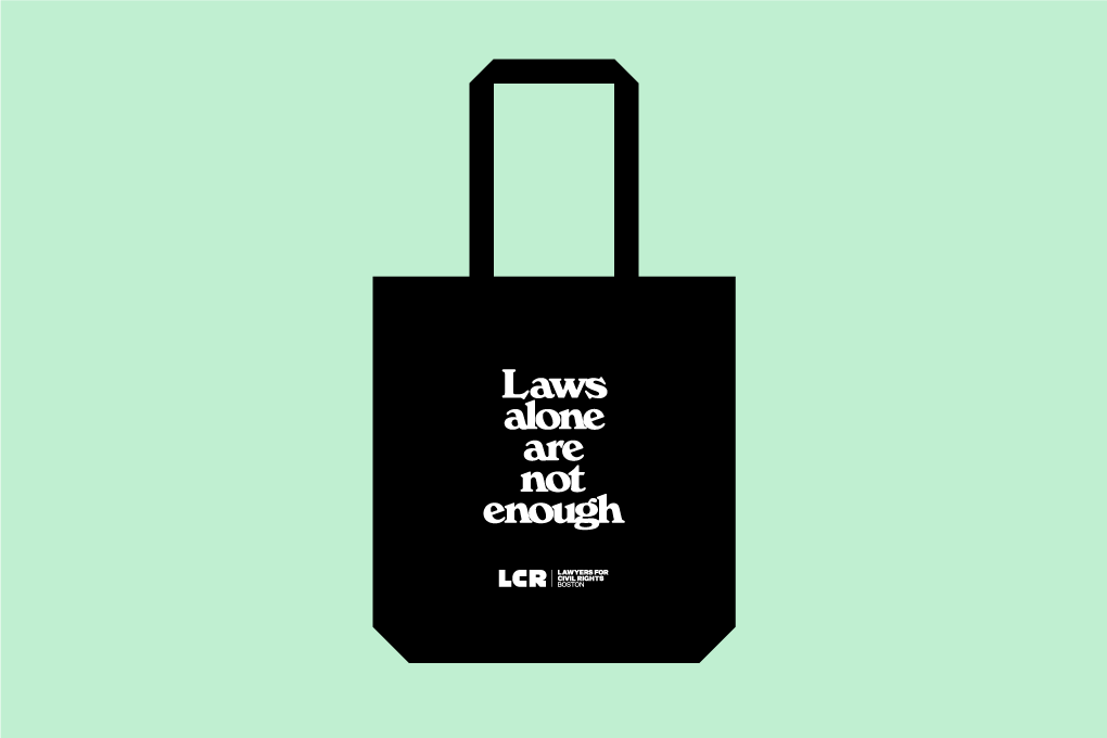 Lawyers for Civil Rights